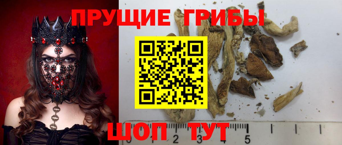 Нижневартовск  Псилоцибиновые грибы Psilocybine cubensis  Вход с VPN 