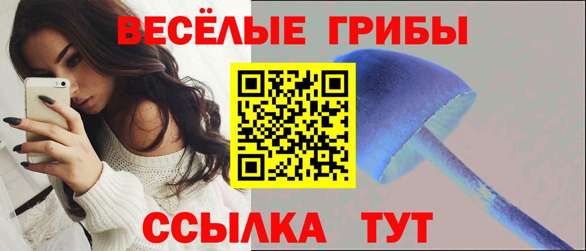 Псилоцибиновые грибы Magic Shrooms Нижневартовск